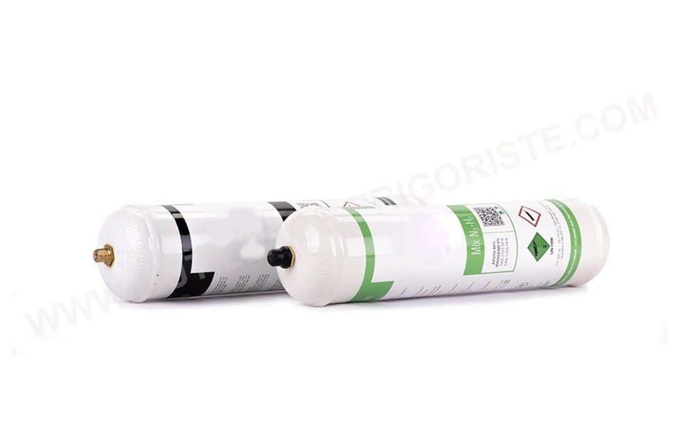 Azote 1L / Azote Hydrogénée 1L 95% - 5%
