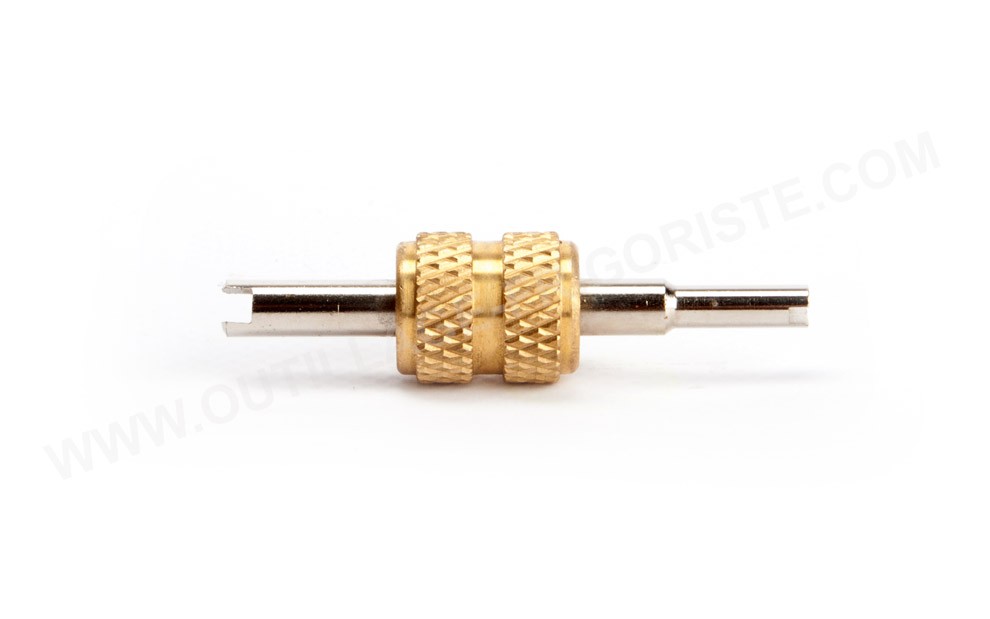 Démonte schrader Teddington CVH 02 De face