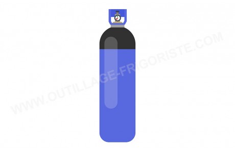 Bouteille Azote AIR LIQUIDE ALBEE COOL PLUS N2 U 13L 300 bars Présentation