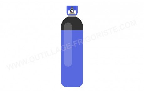 Bouteille Azote AIR LIQUIDE ALBEE COOL PLUS N2 U 13L 300 bars Présentation